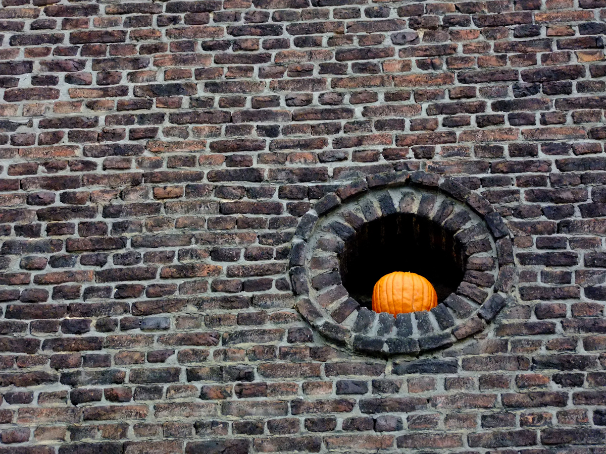 Kürbishofreisendereiseinformationennachreichung