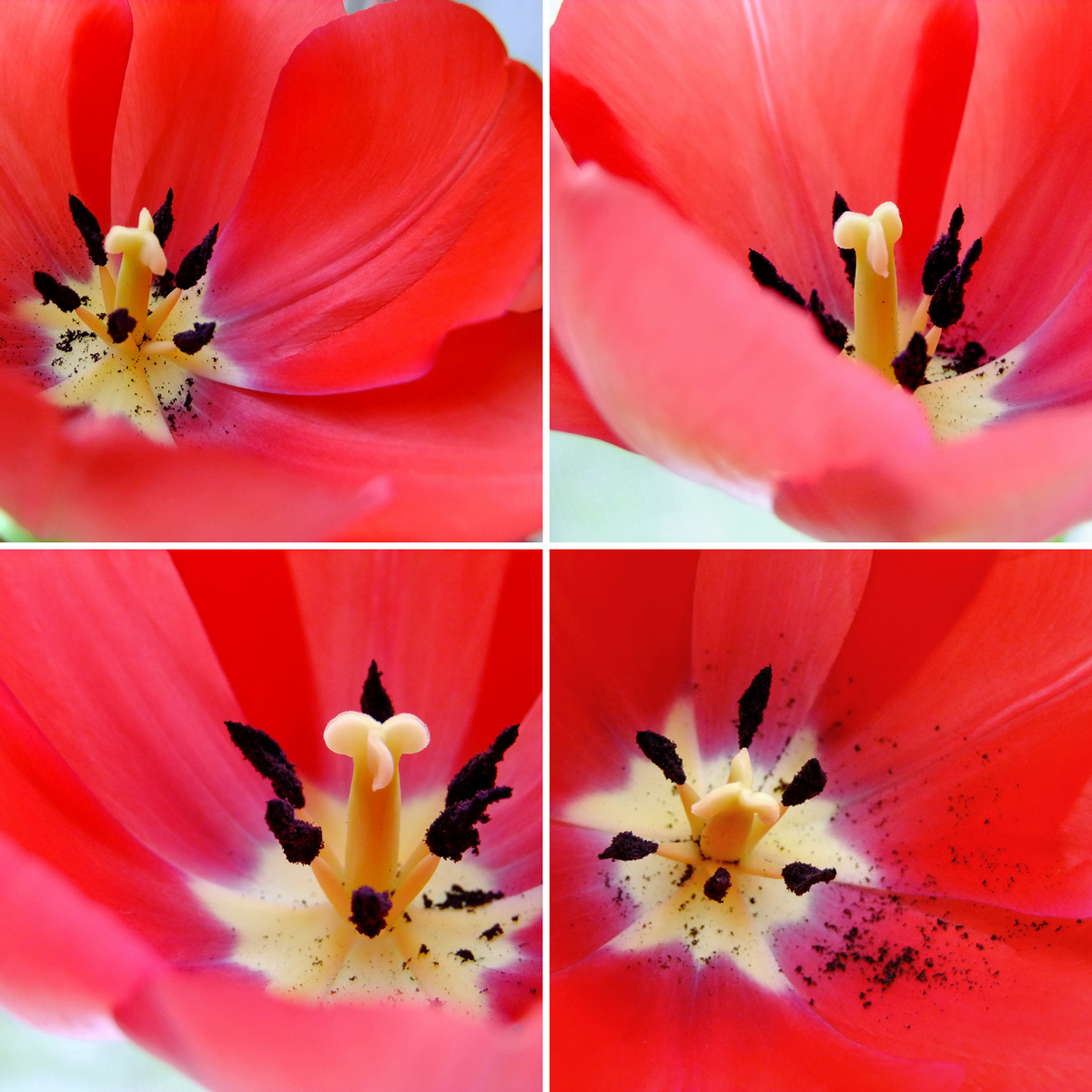 Was mich heute glücklich macht…