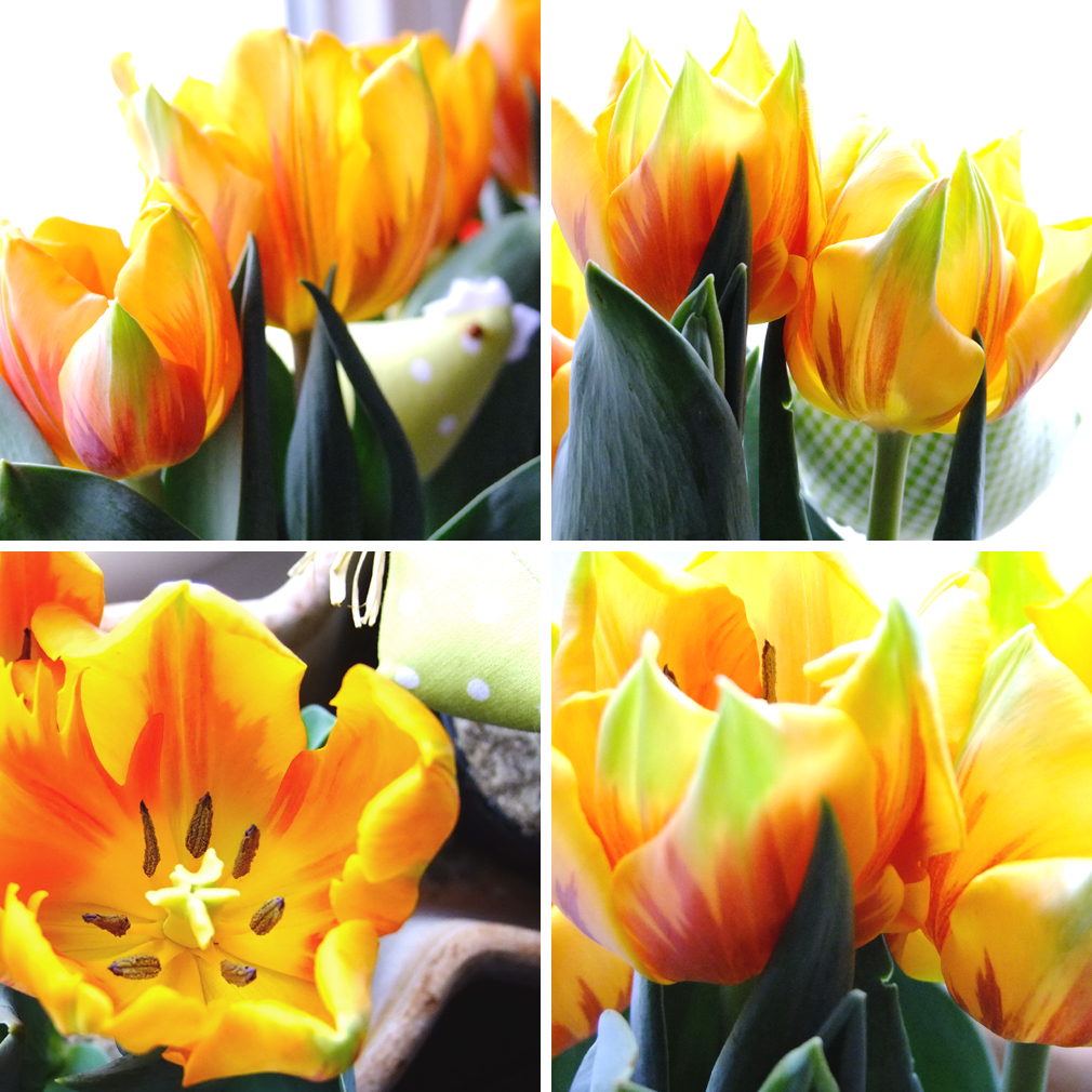 Was mich am Wochenende glücklich macht…