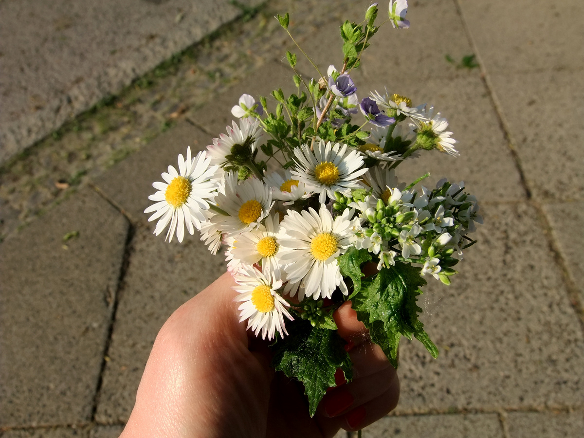 Kostengünstigste Osterdeko ever: Check!