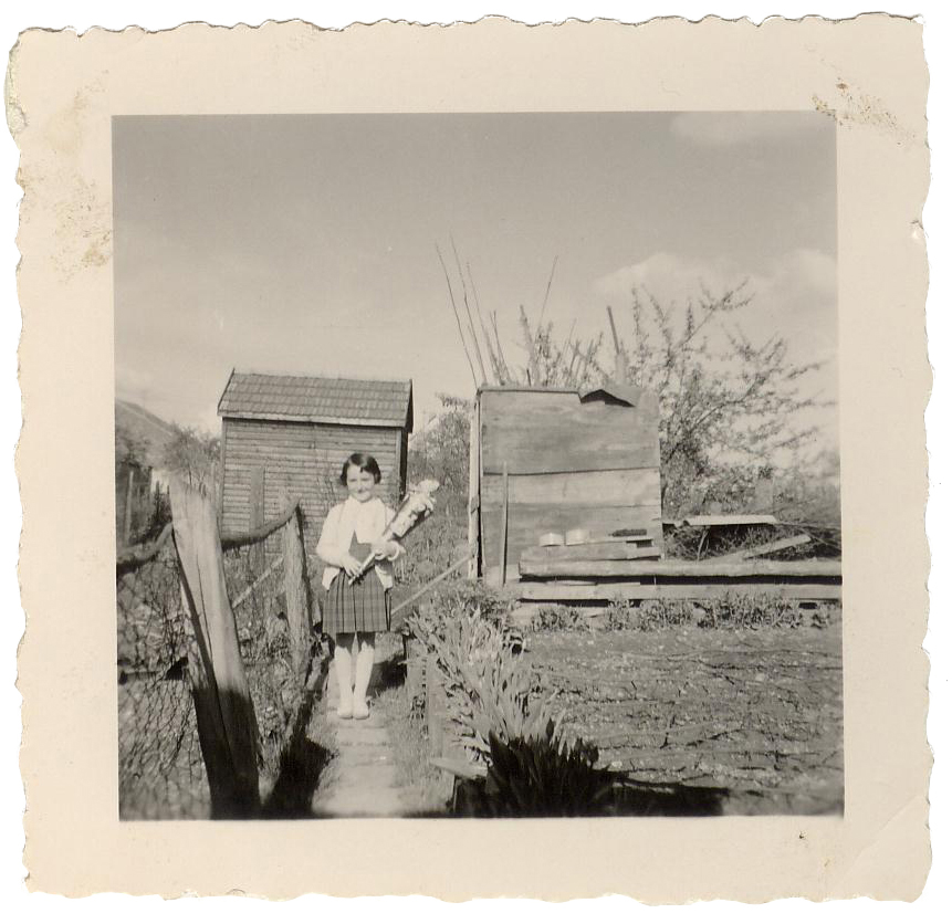 Der Ernst des Lebens