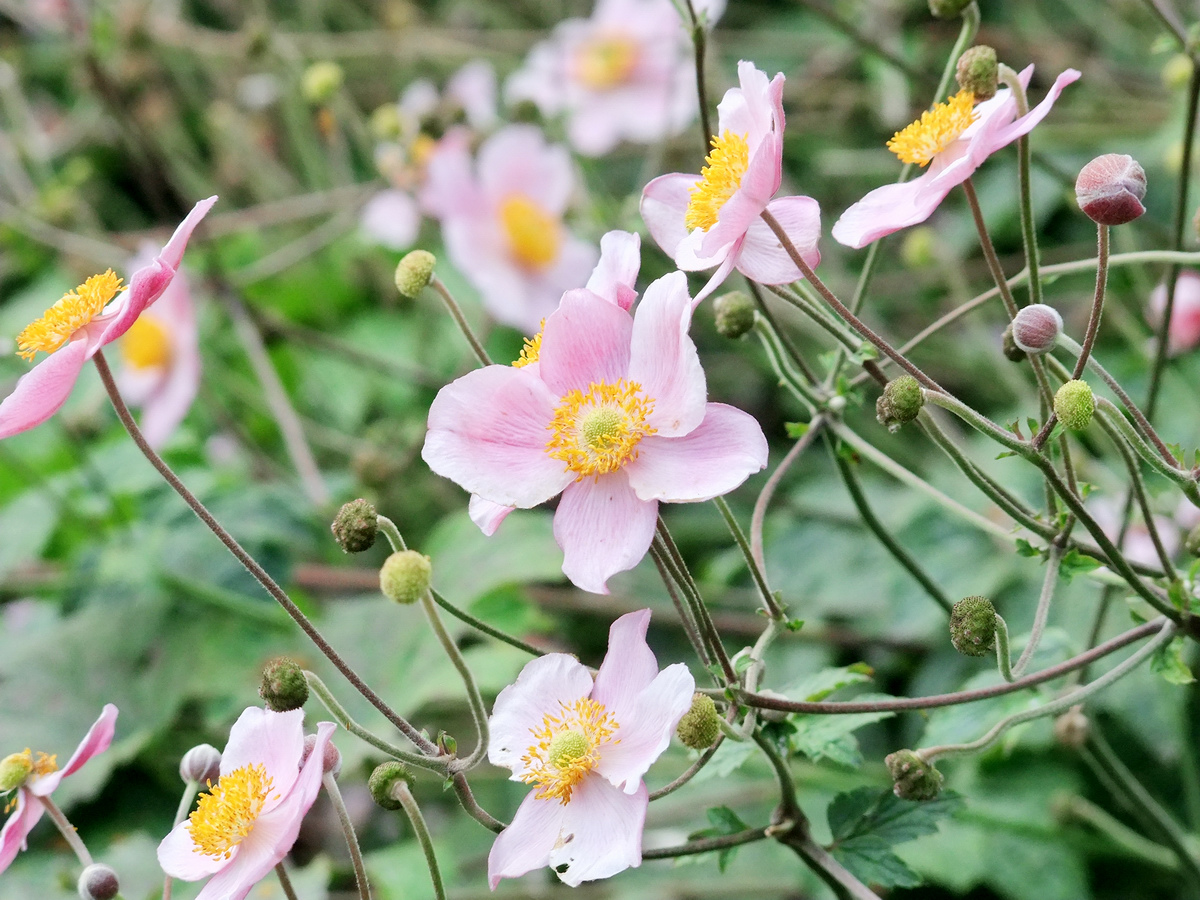 Das Glück liegt in den kleinen Dingen!