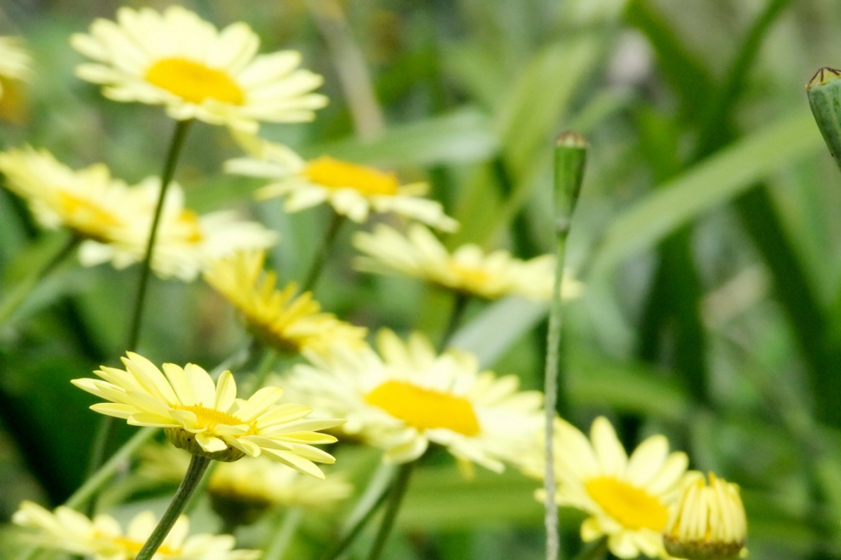 Von Sommer, Sonne und sonderbaren Erinnerungslücken