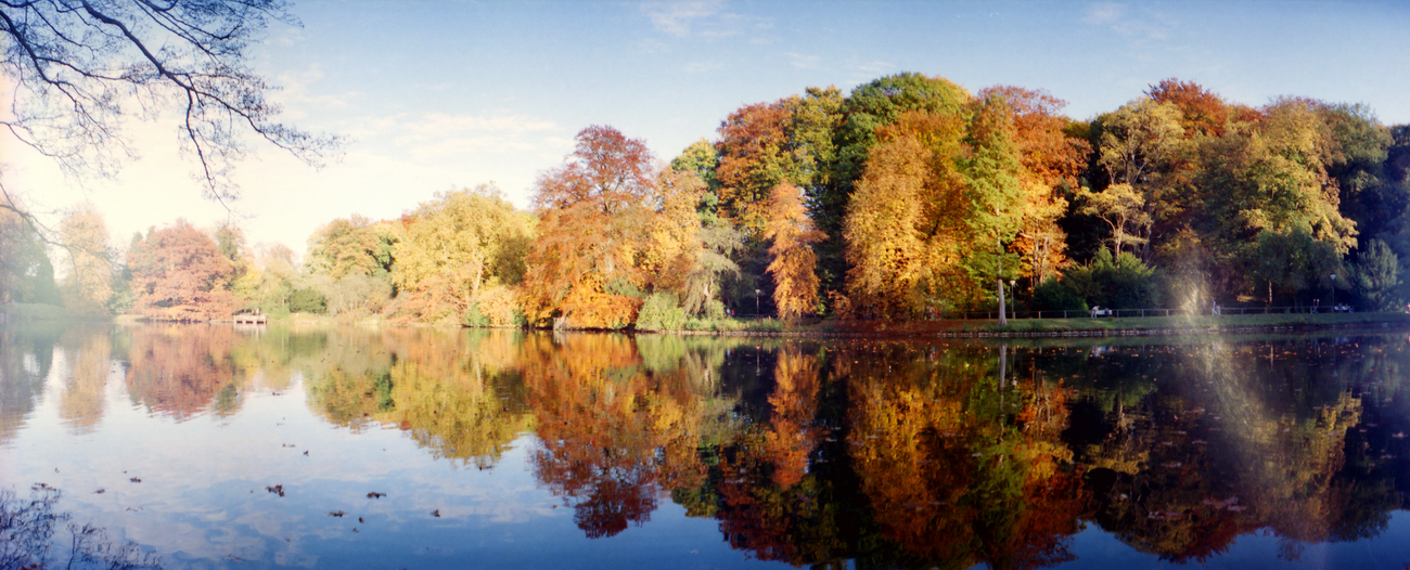 Goldener Herbst im Rombergpark - aufgenommen mit einer Lomography Horizon Perfekt