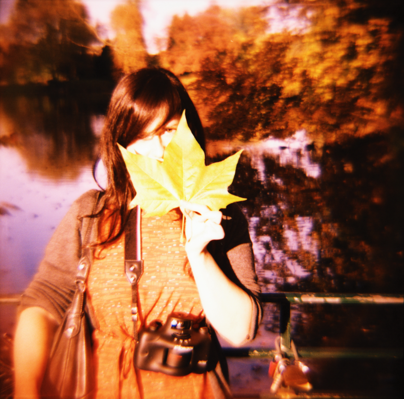 Herbst im Dortmunder Rombergpark - eingefangen mit einer Lomography Diana F+ und einem Fuji Velvia Film