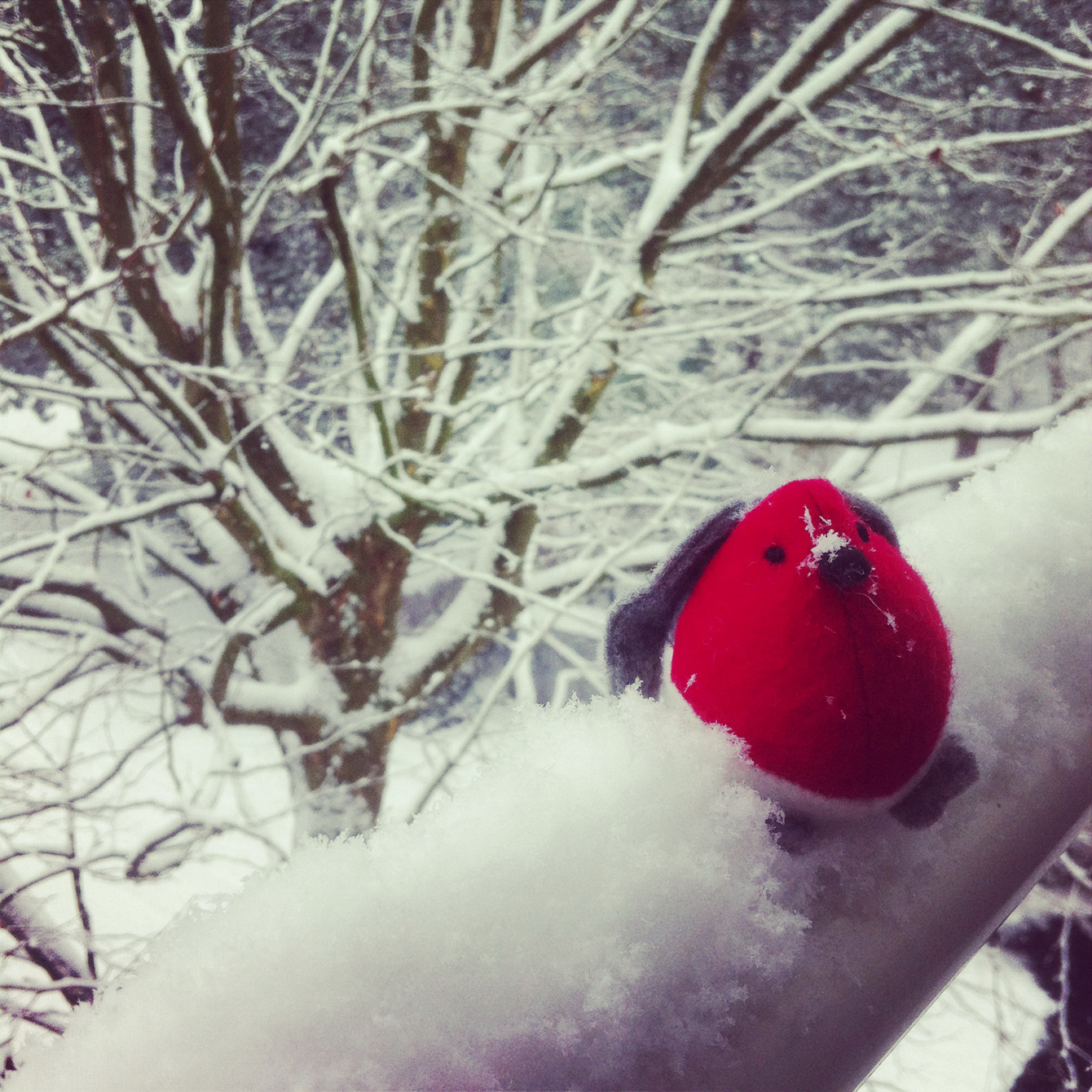 Winter auf meinem Balkon - Mit (Stoff-)Rotkehlchen im Schnee