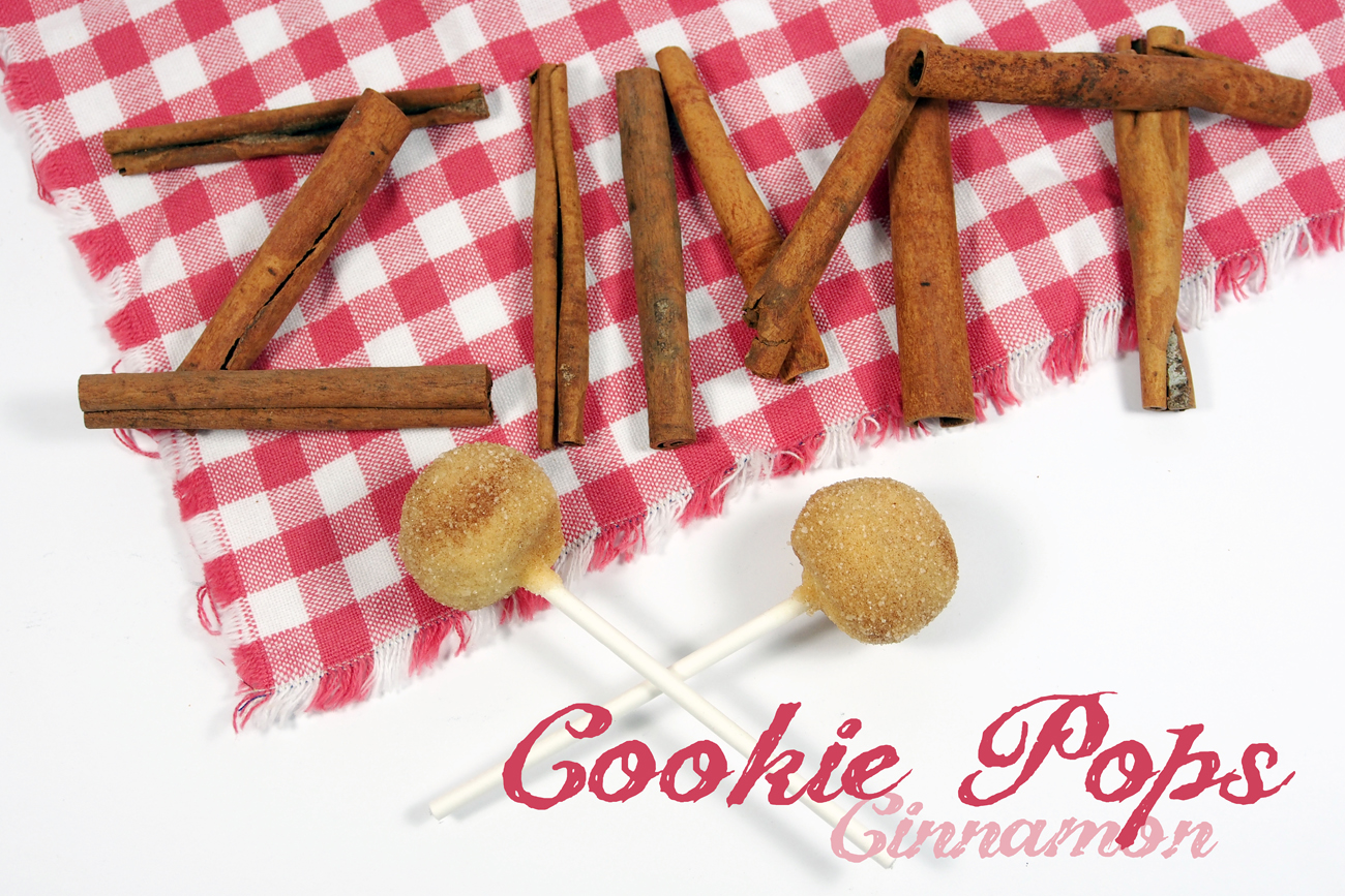 Zimtstern Cookie Pops / Zimtstern-Lollies am Stiel - Fee ist mein Name