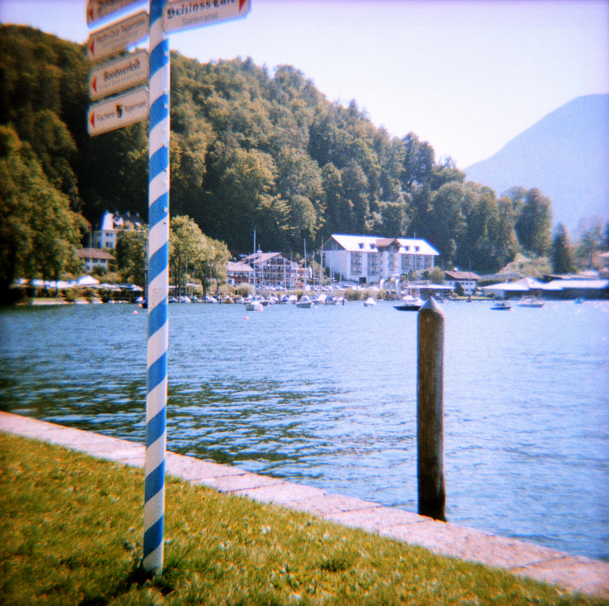 Sommer am Tegernsee - Analoges Foto aufgenommen mit einer Diana F+