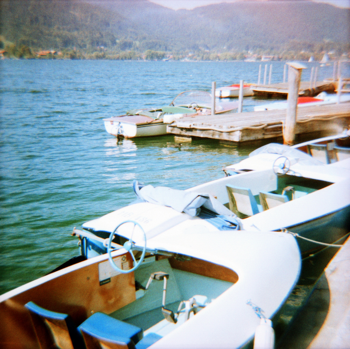 Sommer am Tegernsee - Analoges Foto aufgenommen mit einer Diana F+