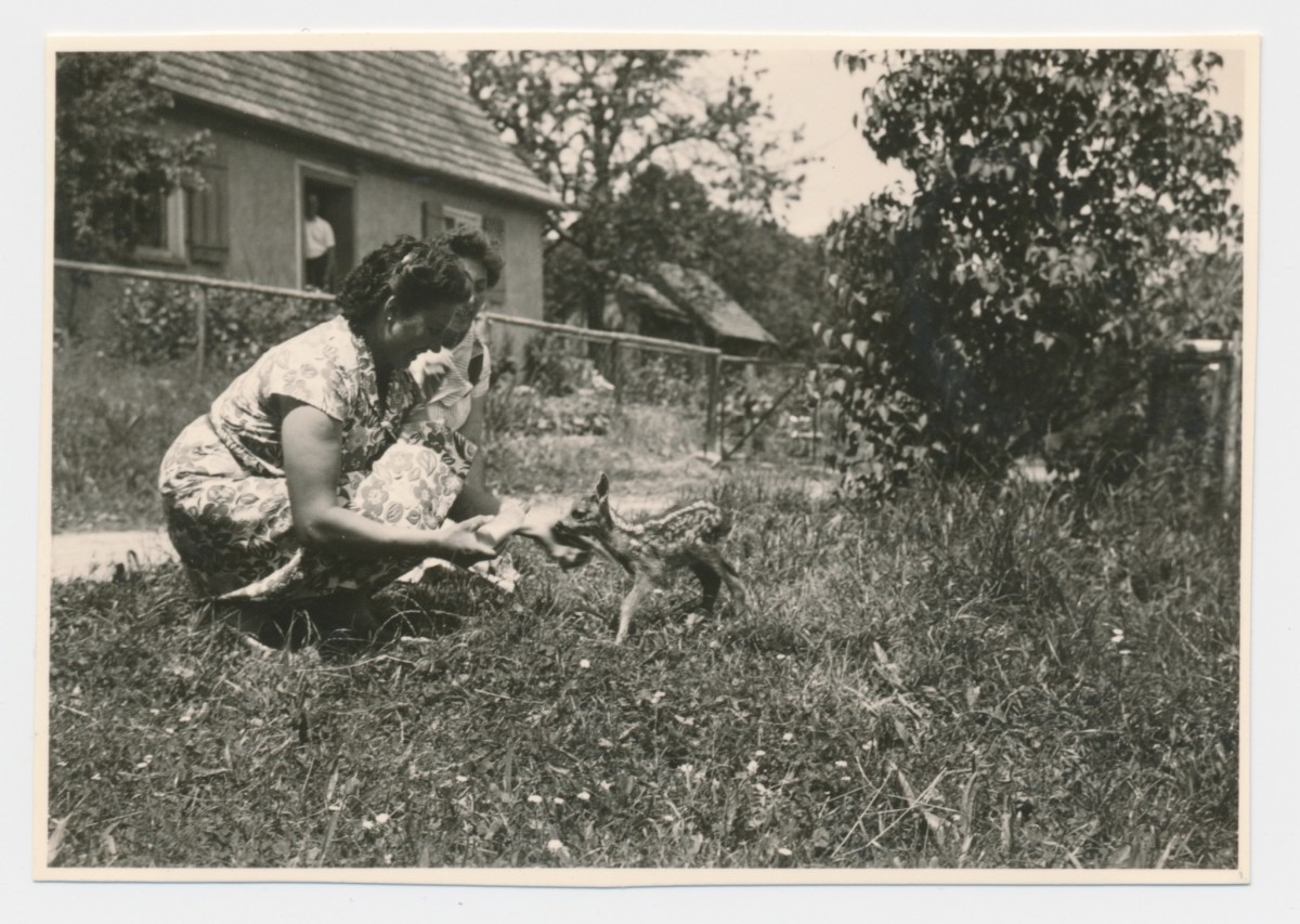 Und dann alle so „Ohhhh, süüüüüüß“…