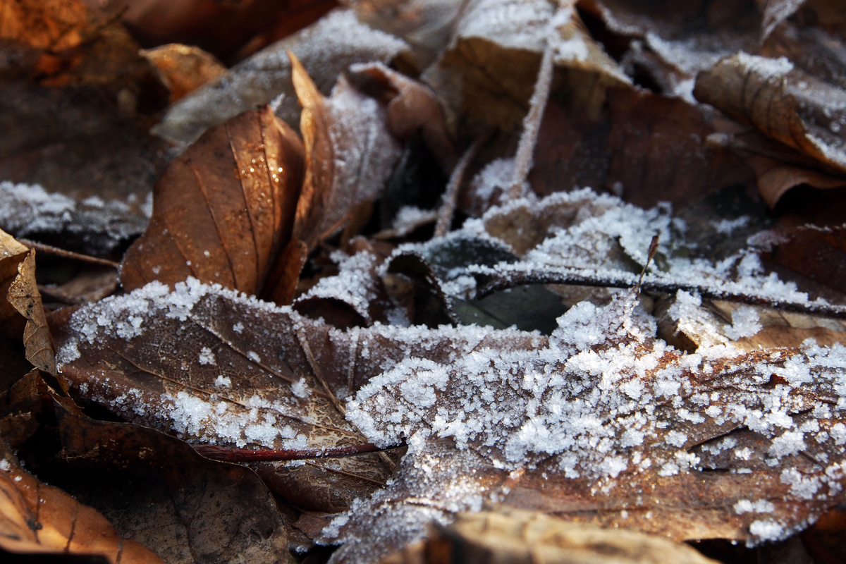 Winteransichten im Dortmunder Westfalenpark - by "Fee ist mein Name"