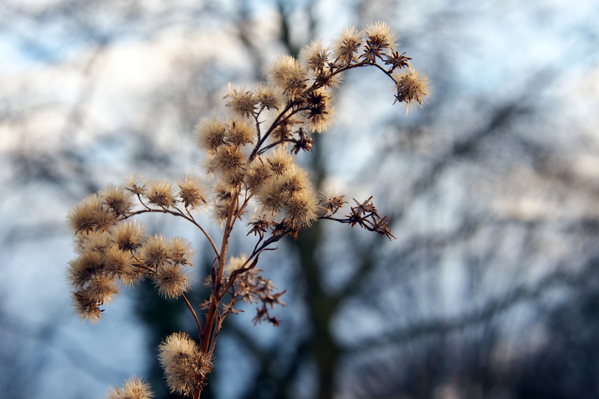 Winteransichten im Dortmunder Westfalenpark - by "Fee ist mein Name"