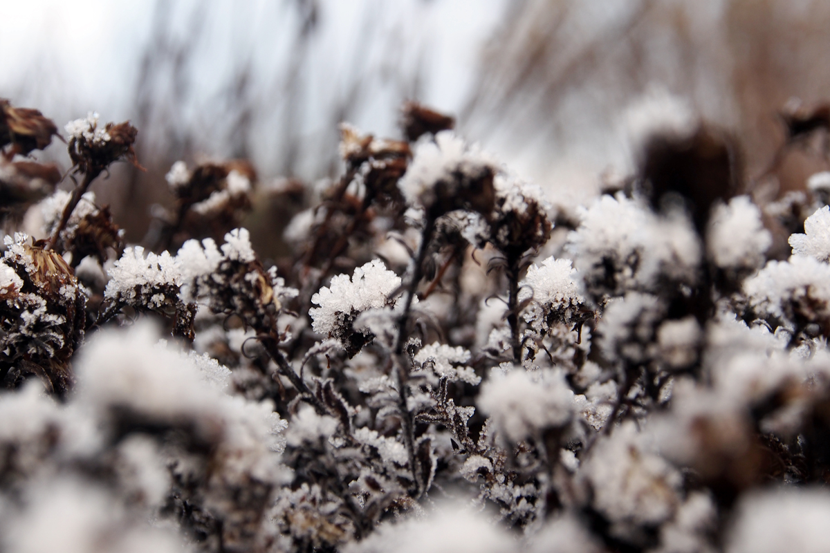 Winteransichten im Dortmunder Westfalenpark - by "Fee ist mein Name"