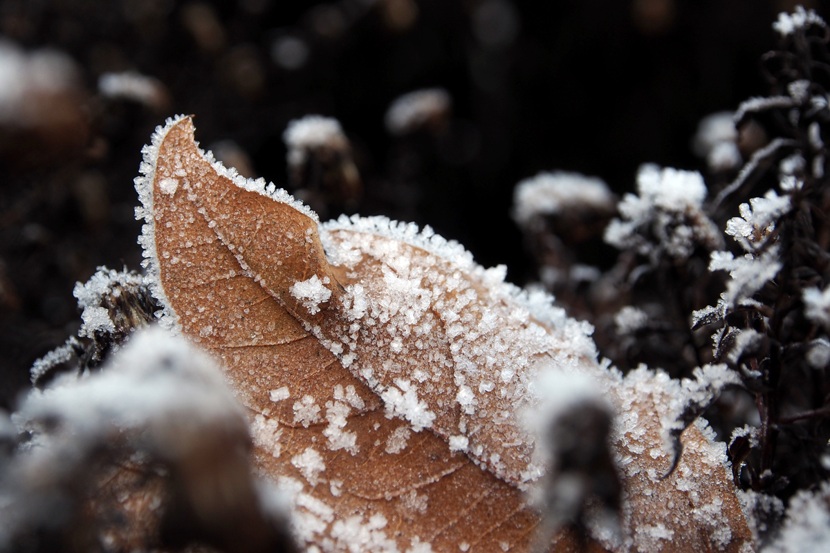 Winteransichten im Dortmunder Westfalenpark - by "Fee ist mein Name"