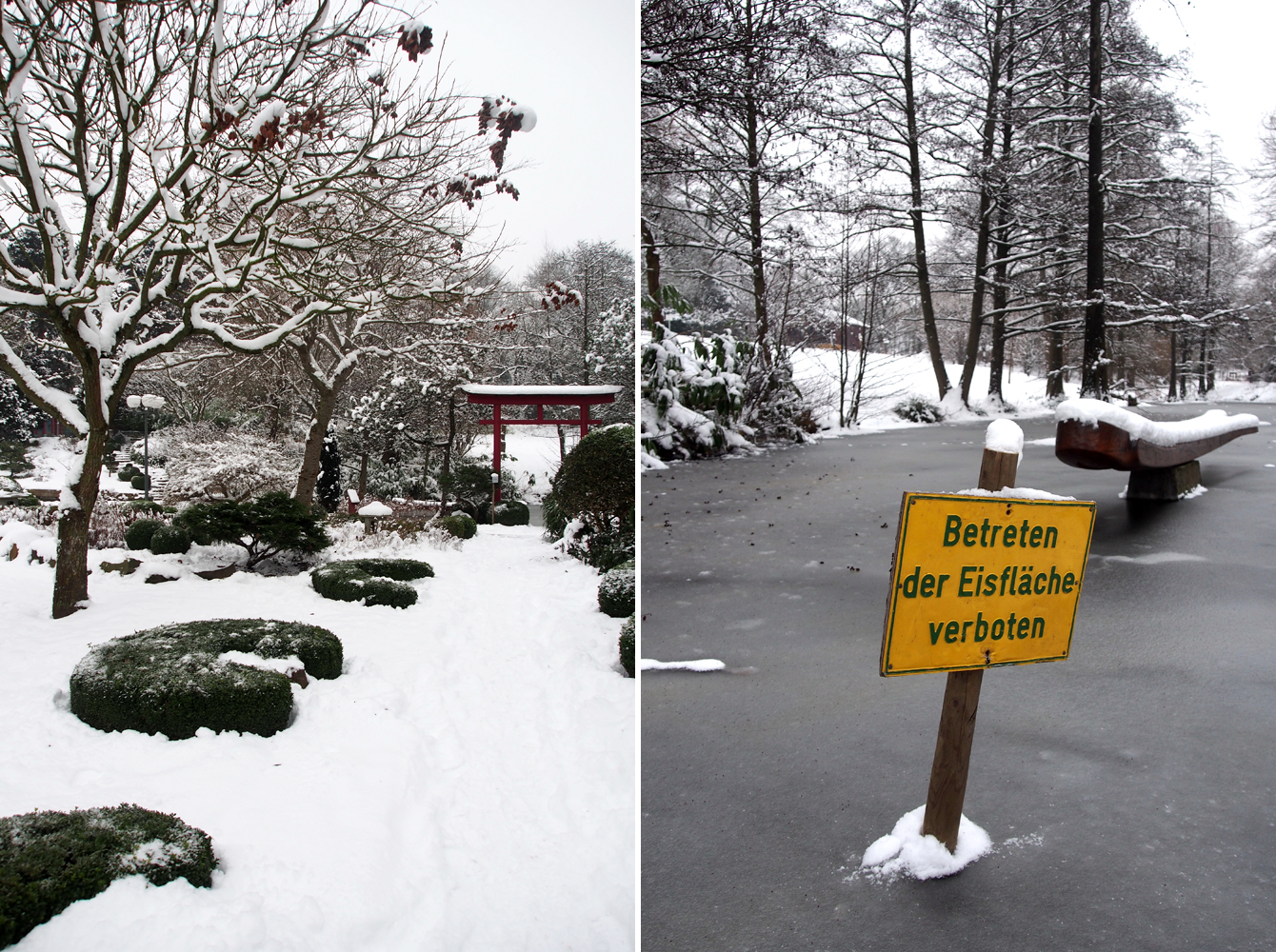 Winterszenerie im Dortmunder Westfalenpark - von "Fee ist mein Name"