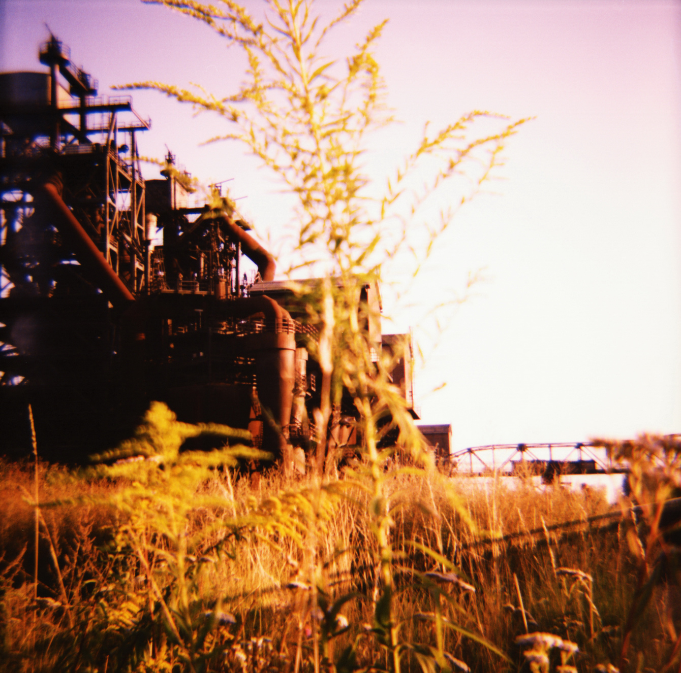 Landschaftspark Duisburg - Diana F+ und Fujichrome Velvia 100F - by "Fee ist mein Name"