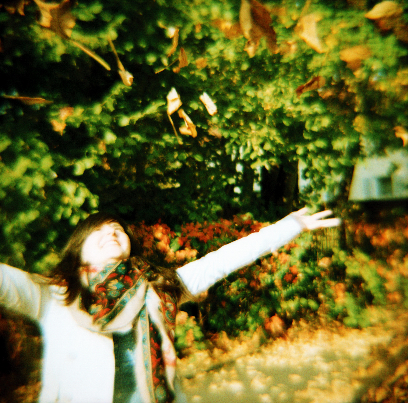 Herbstspaß - ein Diana F+-Foto von "Fee ist mein Name"
