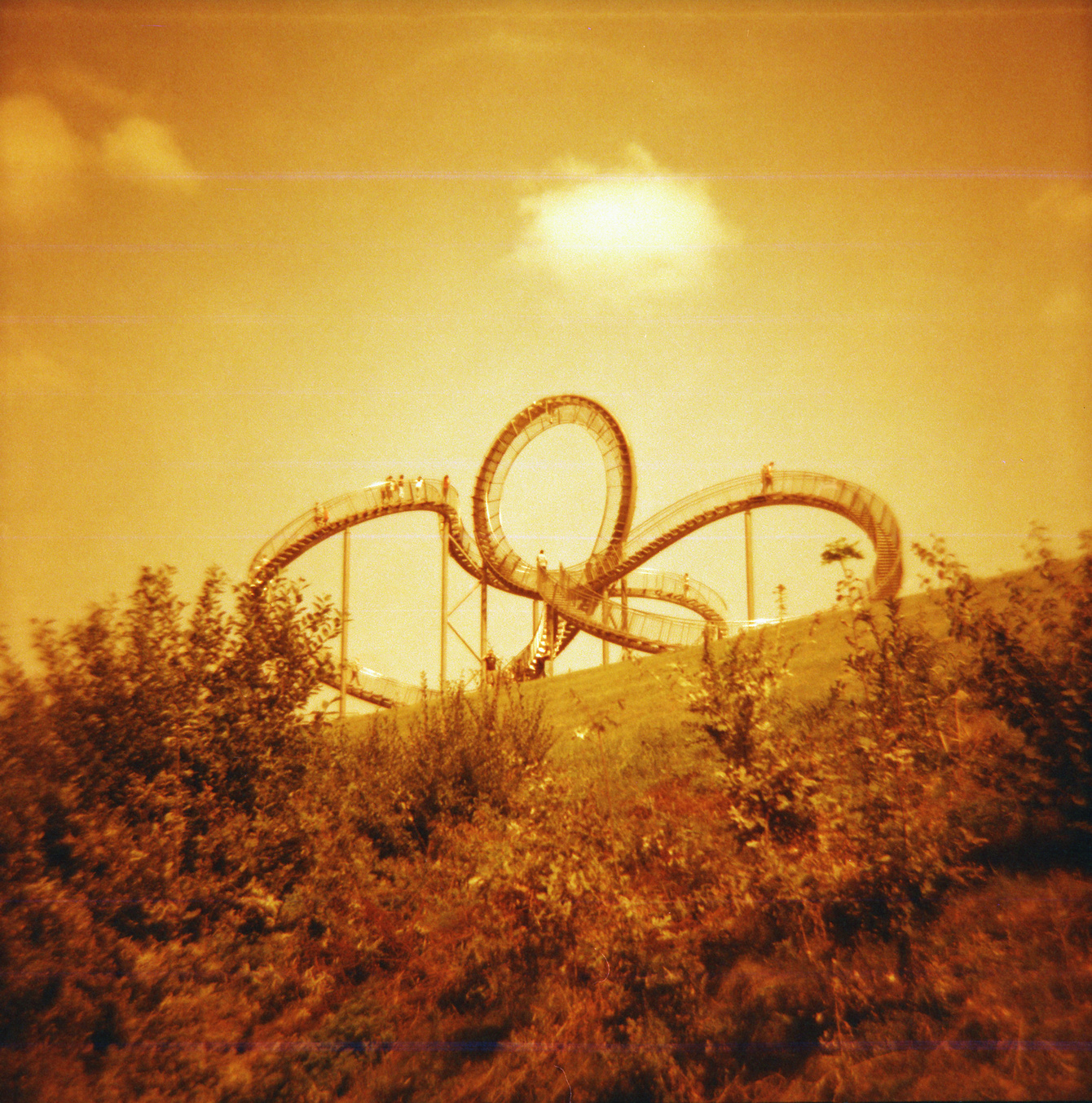 Tiger & Turtle in Duisburg - Redscale Diana F+ - "Fee ist mein Name"