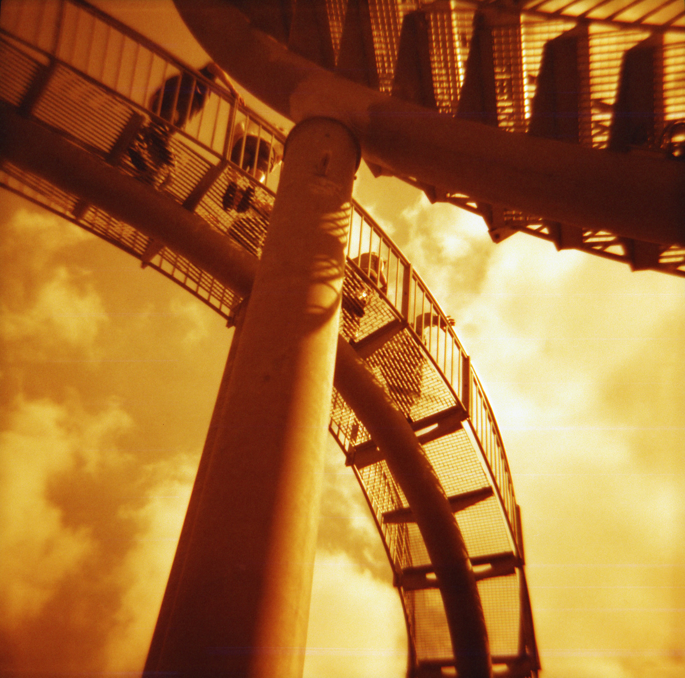 Tiger & Turtle in Duisburg - Redscale Diana F+ - "Fee ist mein Name"