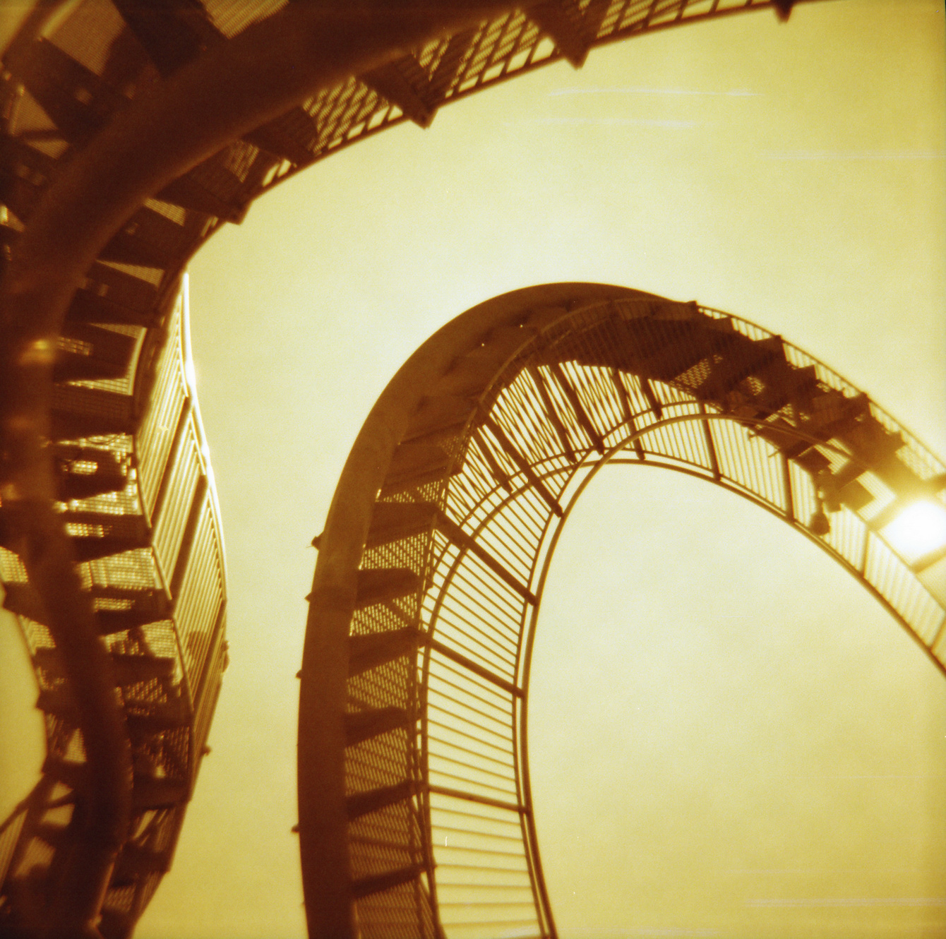 Tiger & Turtle in Duisburg - Redscale Diana F+ - "Fee ist mein Name"