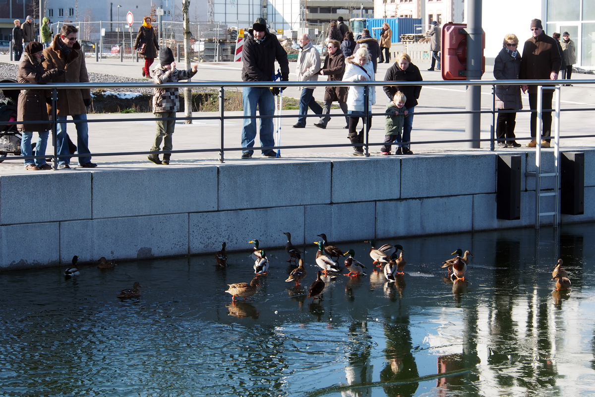 Phoenix-See Dortmund im Winter - "Fee ist mein Name"