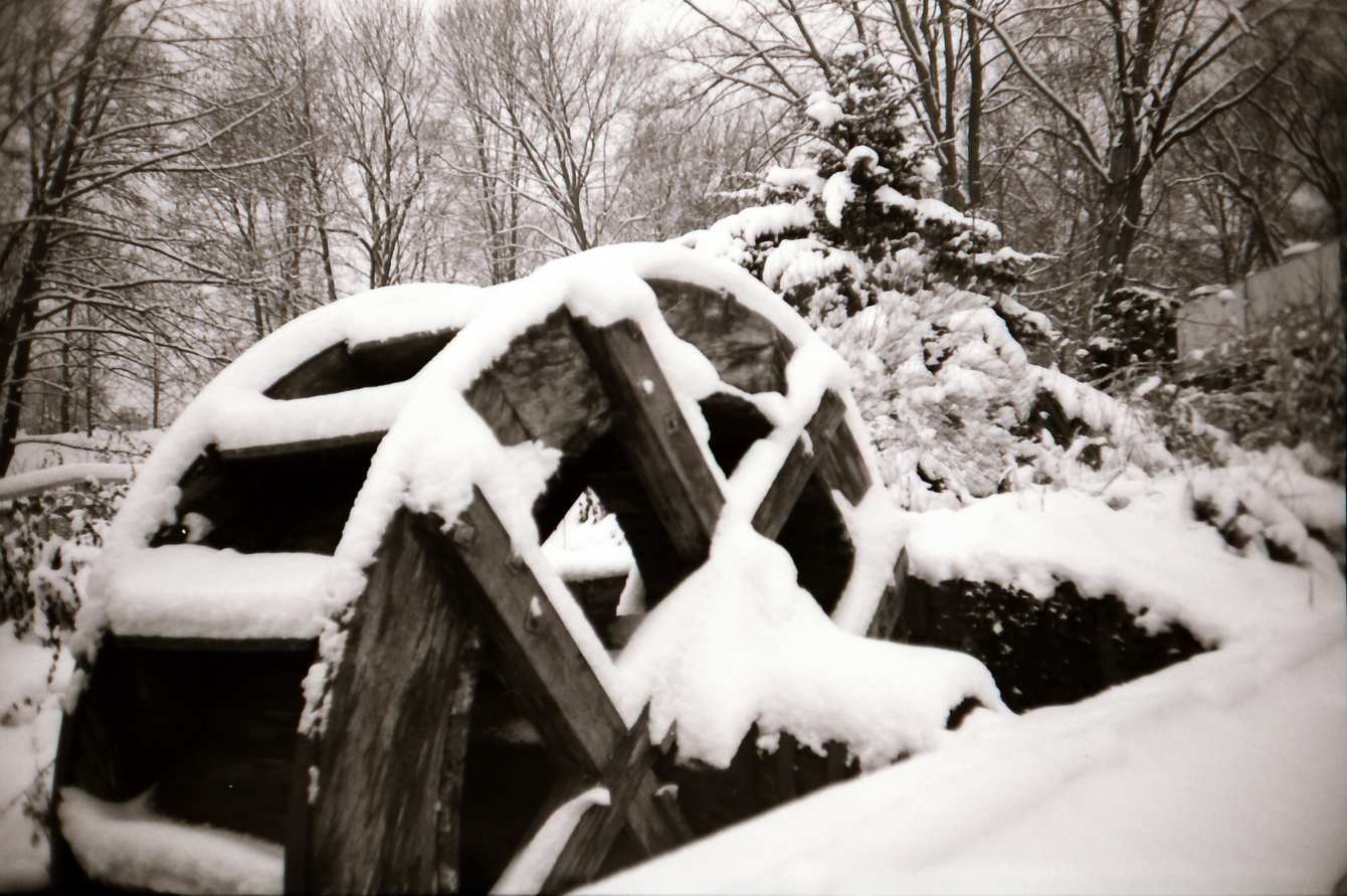 Winter im Westfalenpark Dortmund - LC-A+ - "Fee ist mein Name"