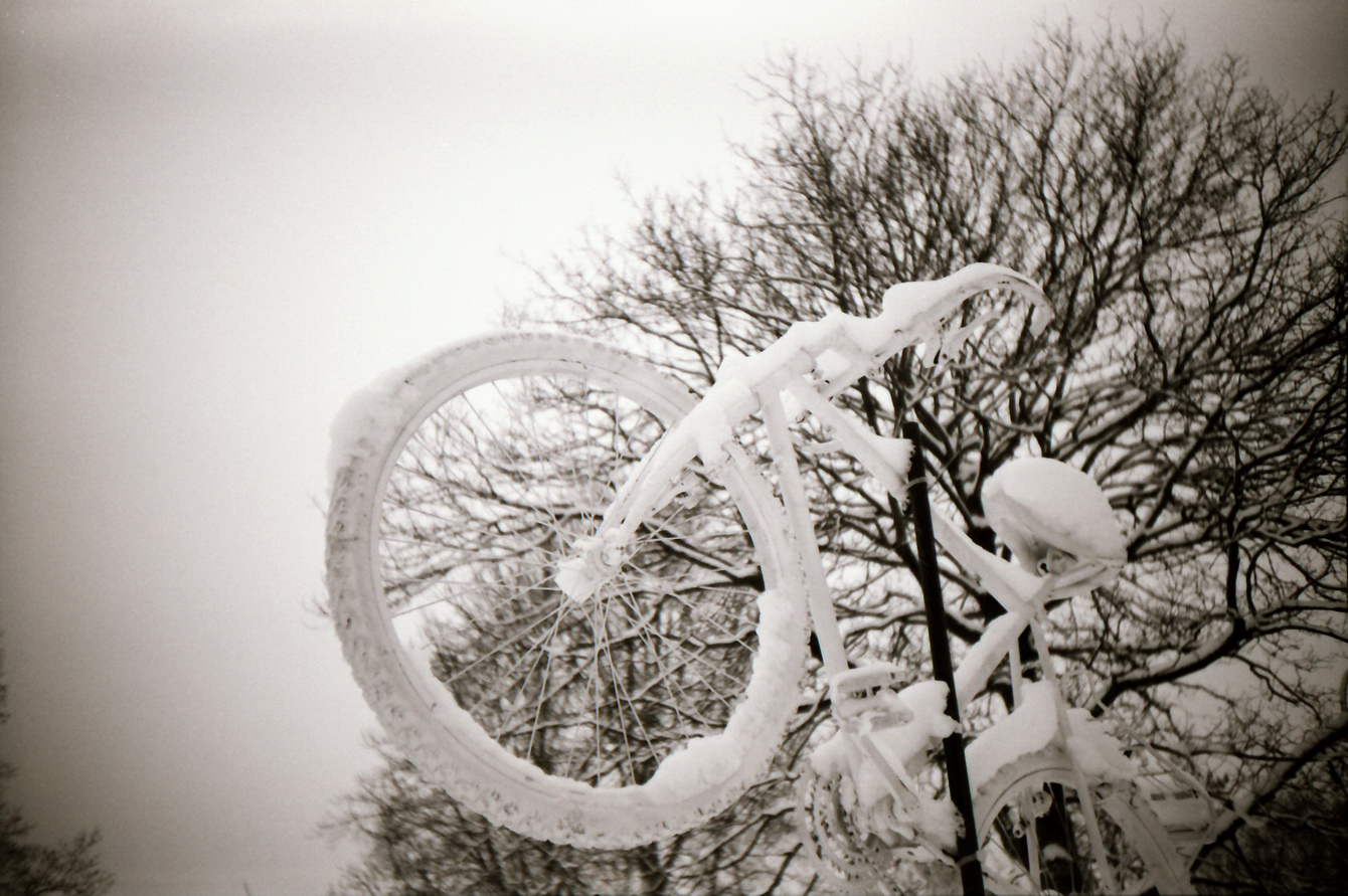 Winter im Westfalenpark Dortmund - LC-A+ - "Fee ist mein Name"