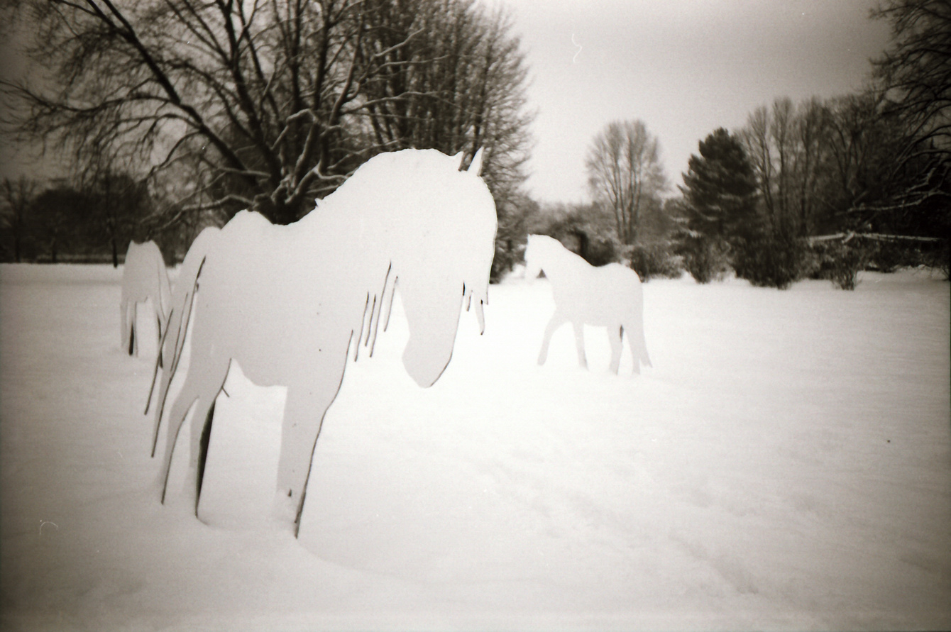 Winter im Westfalenpark Dortmund - LC-A+ - "Fee ist mein Name"