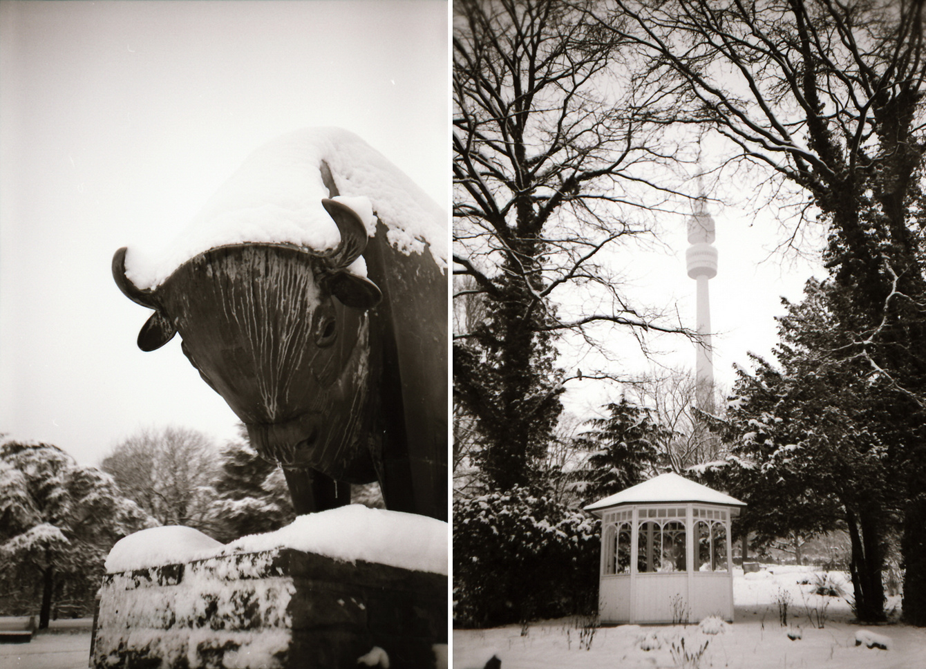 Winter im Westfalenpark Dortmund - LC-A+ - "Fee ist mein Name"