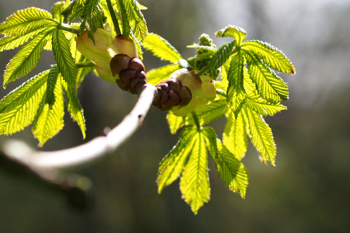 Frühling im Park - "Fee ist mein Name"