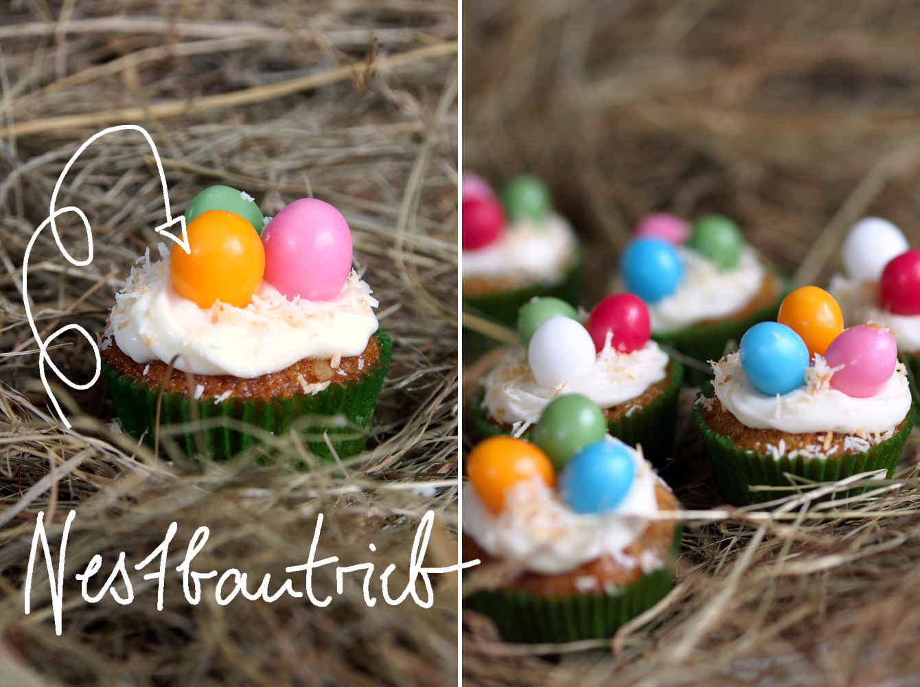 Mini-Möhren-Muffins mit Frischkäsefrosting und Osternestdeko // Mini carrot cupcakes, decorated as easter baskets - "Fee ist mein Name"