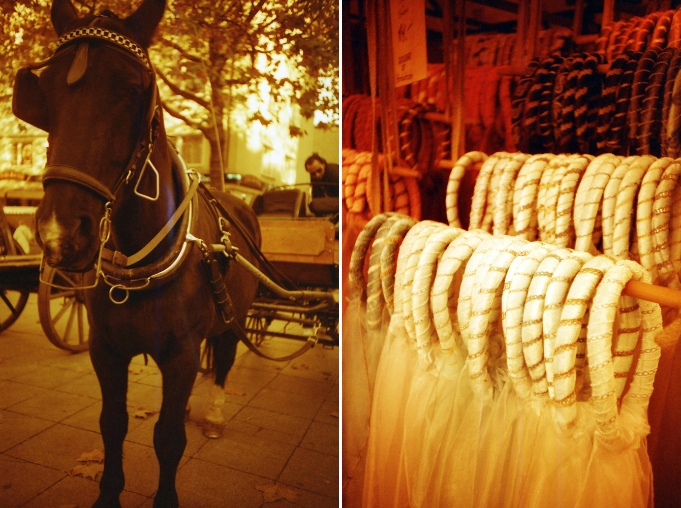 Hansemarkt Dortmund in Redscale - "Fee ist mein Name"