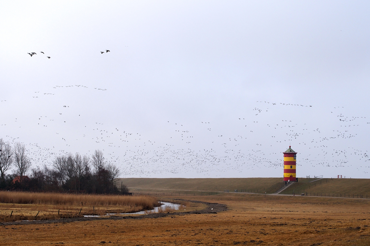 Ein Ausflug zum Pilsumer Leuchtturm - "Fee ist mein Name"