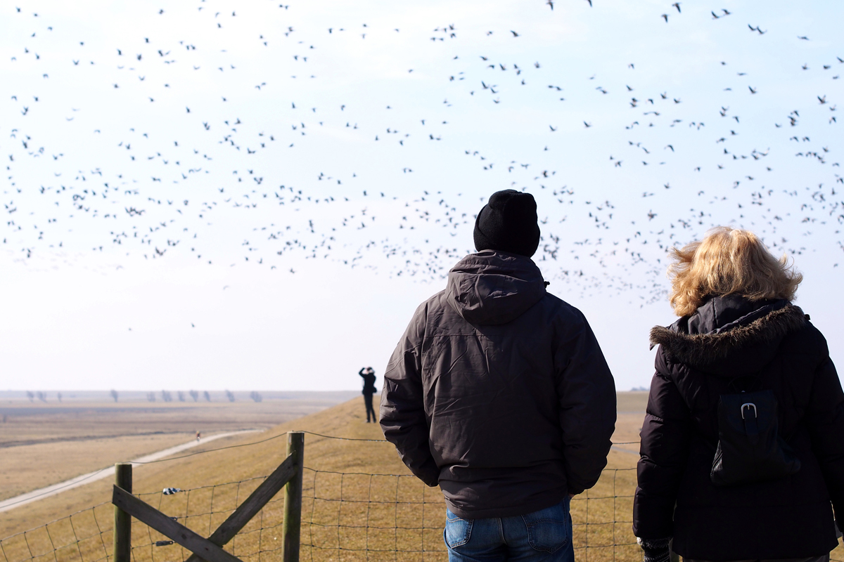 Ein Ausflug zum Pilsumer Leuchtturm - "Fee ist mein Name"