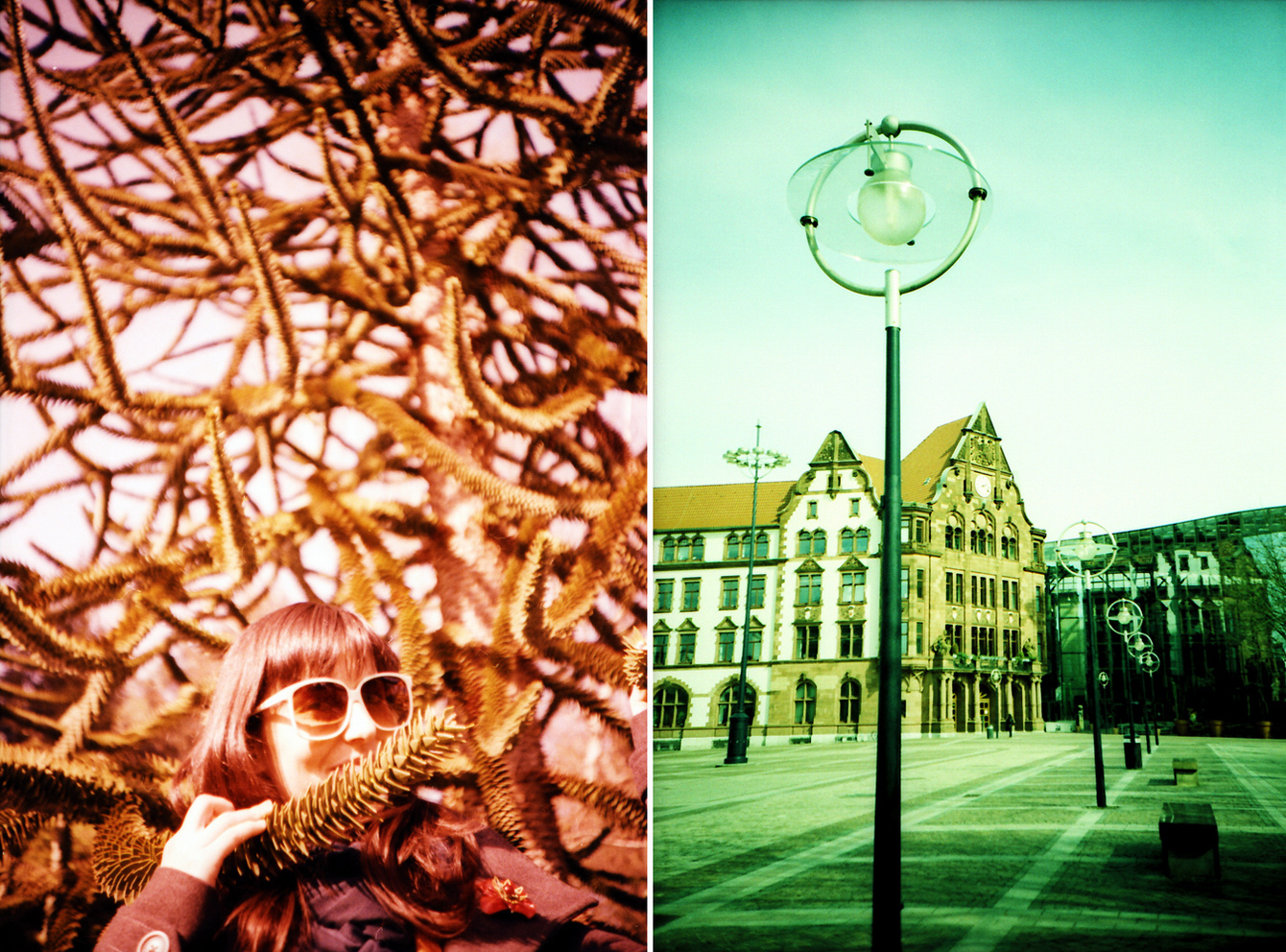 Dortmund analog - "Fee ist mein Name" // Rombergpark und Friedensplatz