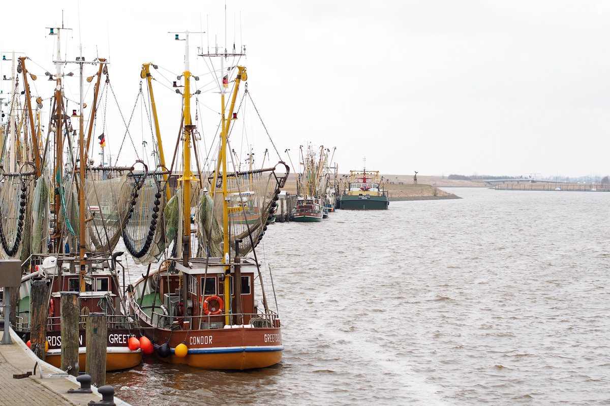 Graues Greetsiel - Hafen - "Fee ist mein Name"