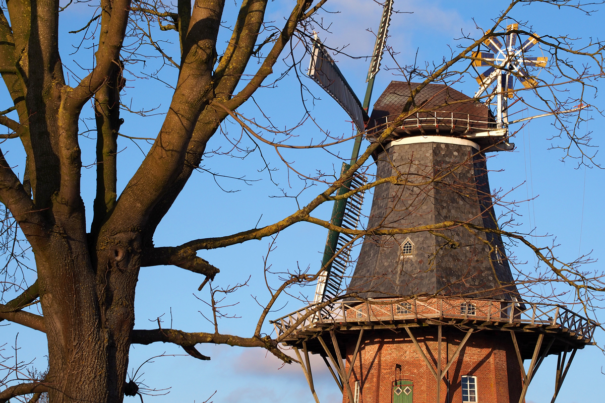 Windmühlenliebe - Fee ist mein Name"