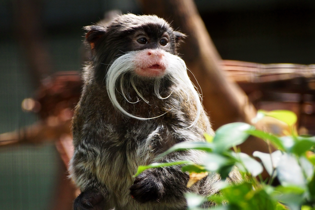 Ein Tag im Dortmunder Zoo - "Fee ist mein Name"