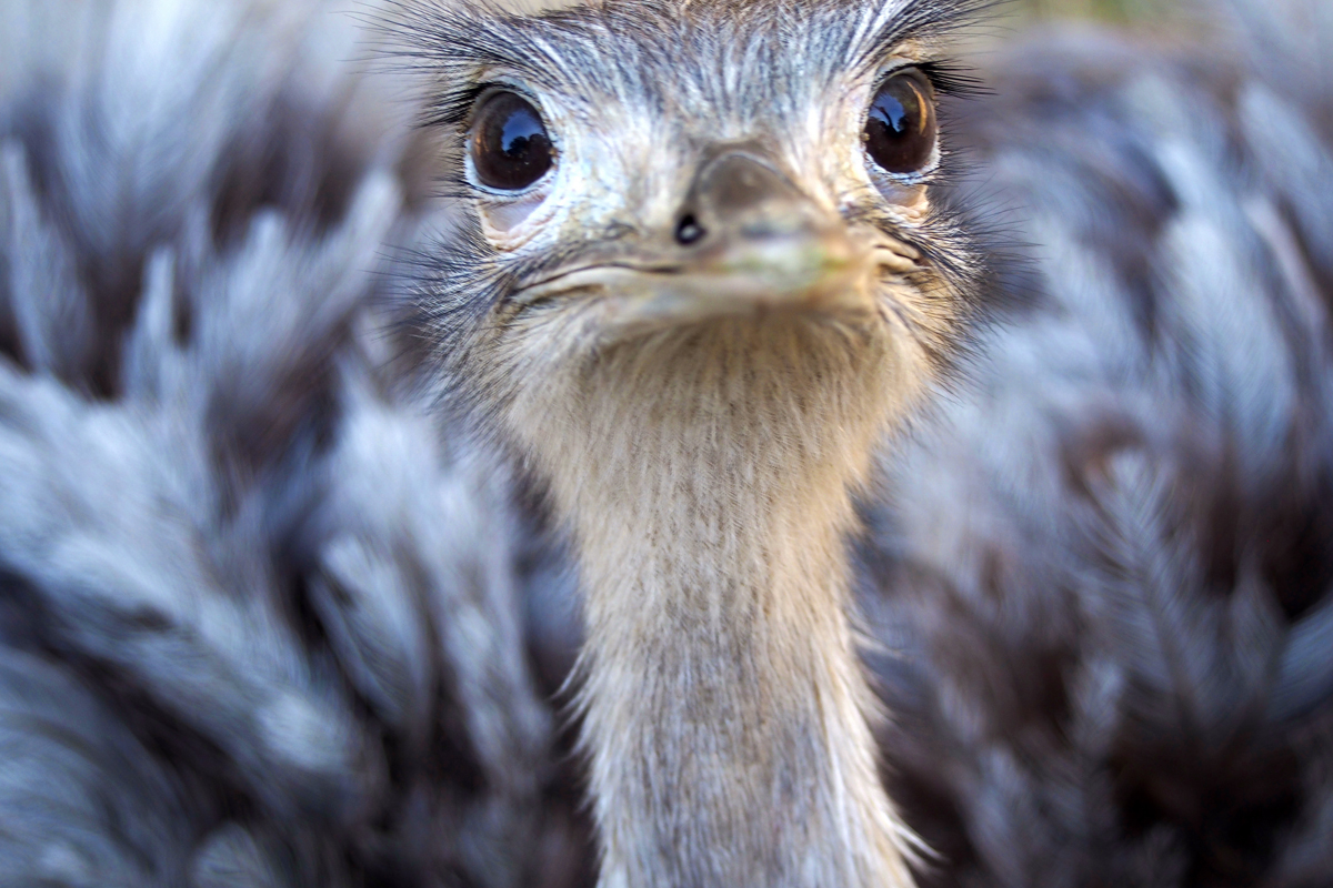 Ein Tag im Dortmunder Zoo - "Fee ist mein Name"