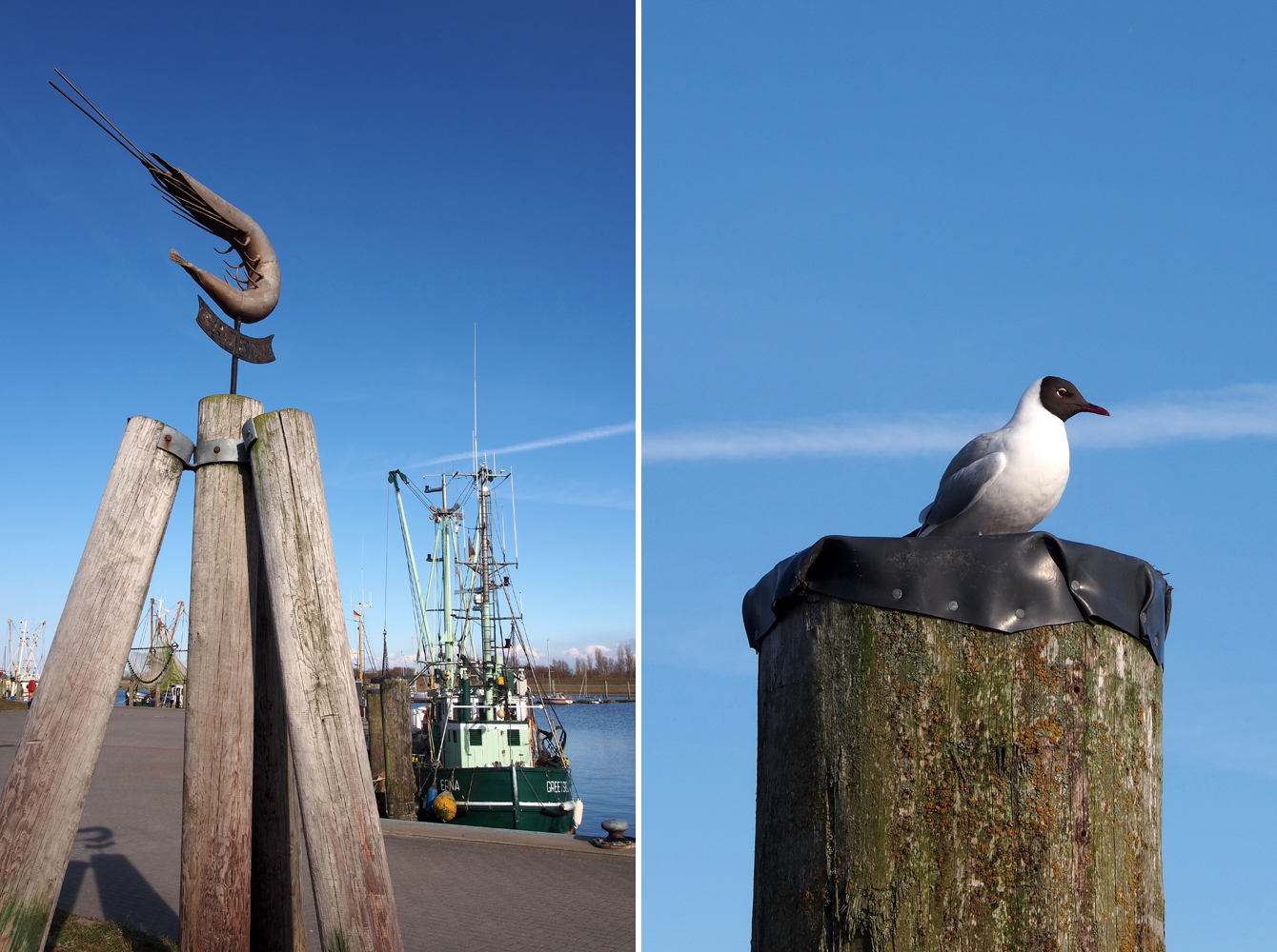 Kutter- und Hafenromantik in Greetsiel/Ostfriesland - "Fee ist mein Name"