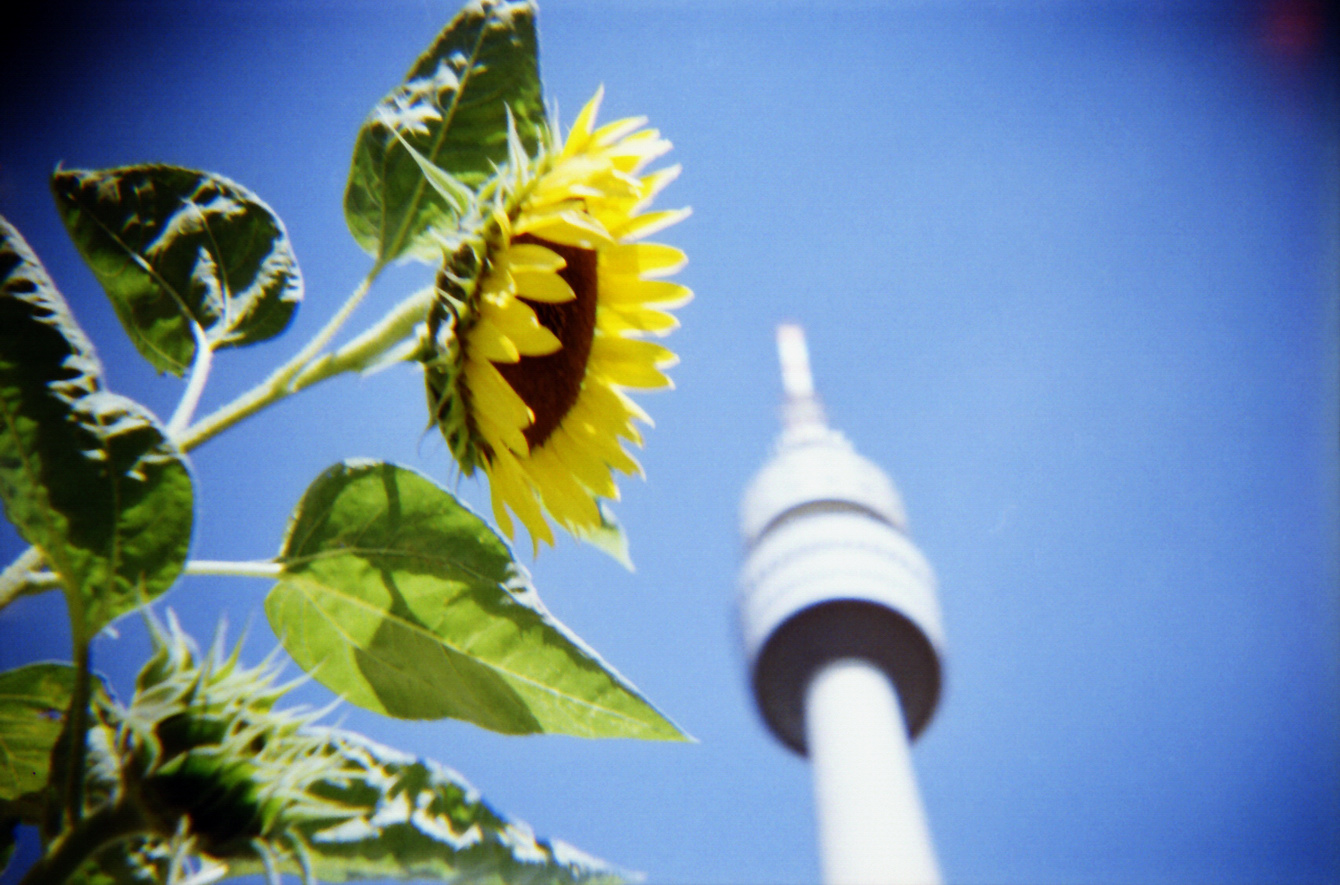 Konstruktor-Testfilm - "Fee ist mein Name"