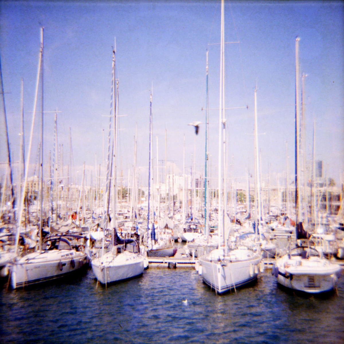 Segelschiff-Regatta im Hafen von Barcelona - Diana F+ Foto auf "Fee ist mein Name"