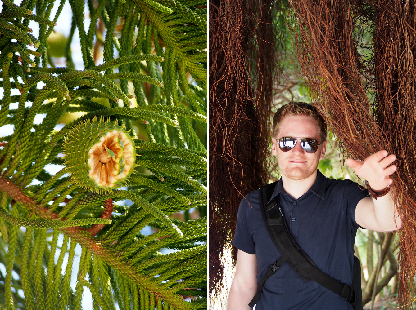 Botanischer Garten/ Jardí Botànic Barcelona - "Fee ist mein Name"