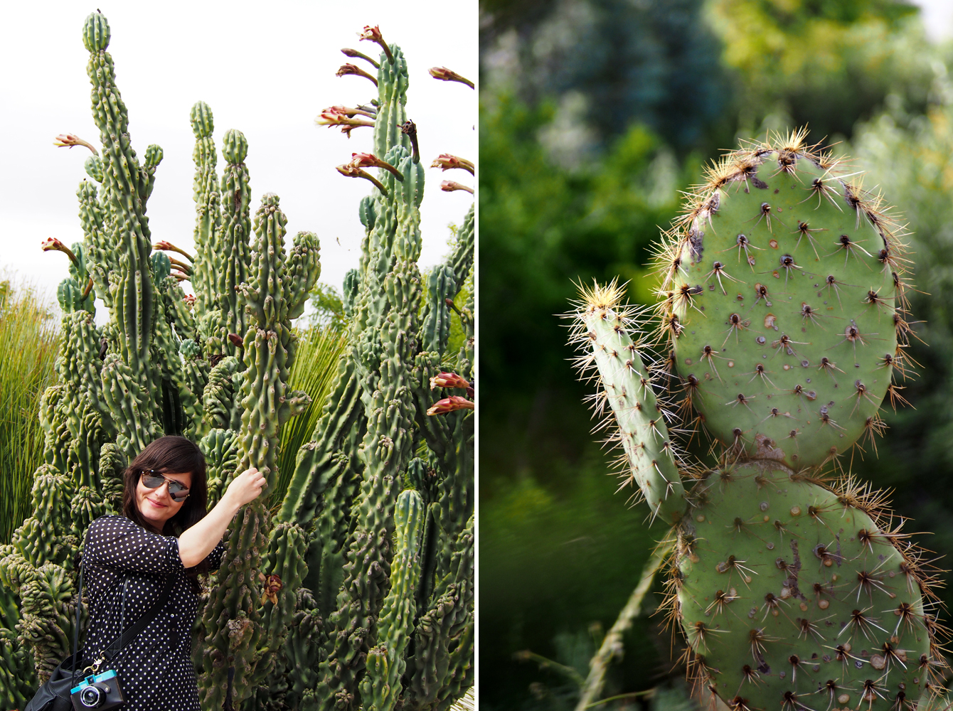 Botanischer Garten/ Jardí Botànic Barcelona - "Fee ist mein Name"