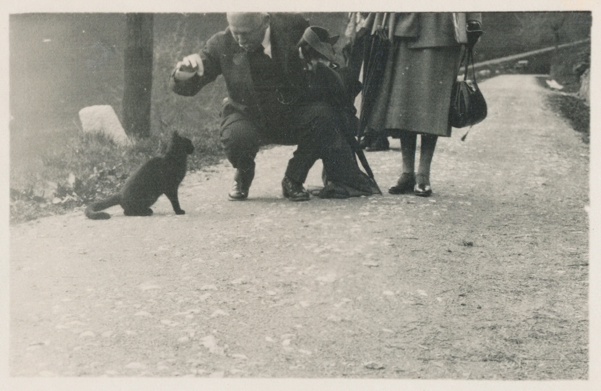 Dreimal schwarzer Kater - Historisches Foto auf "Fee ist mein Name"