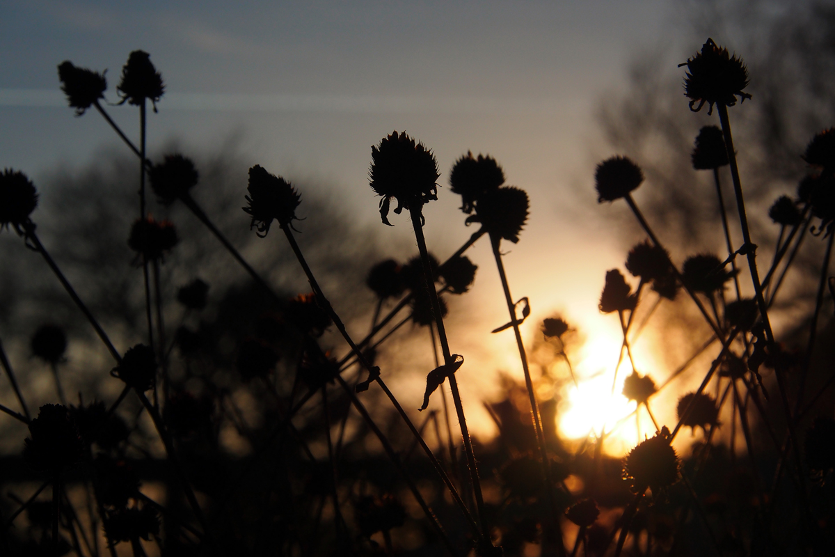 Winterleuchten mal anders und das „Foto der Woche“