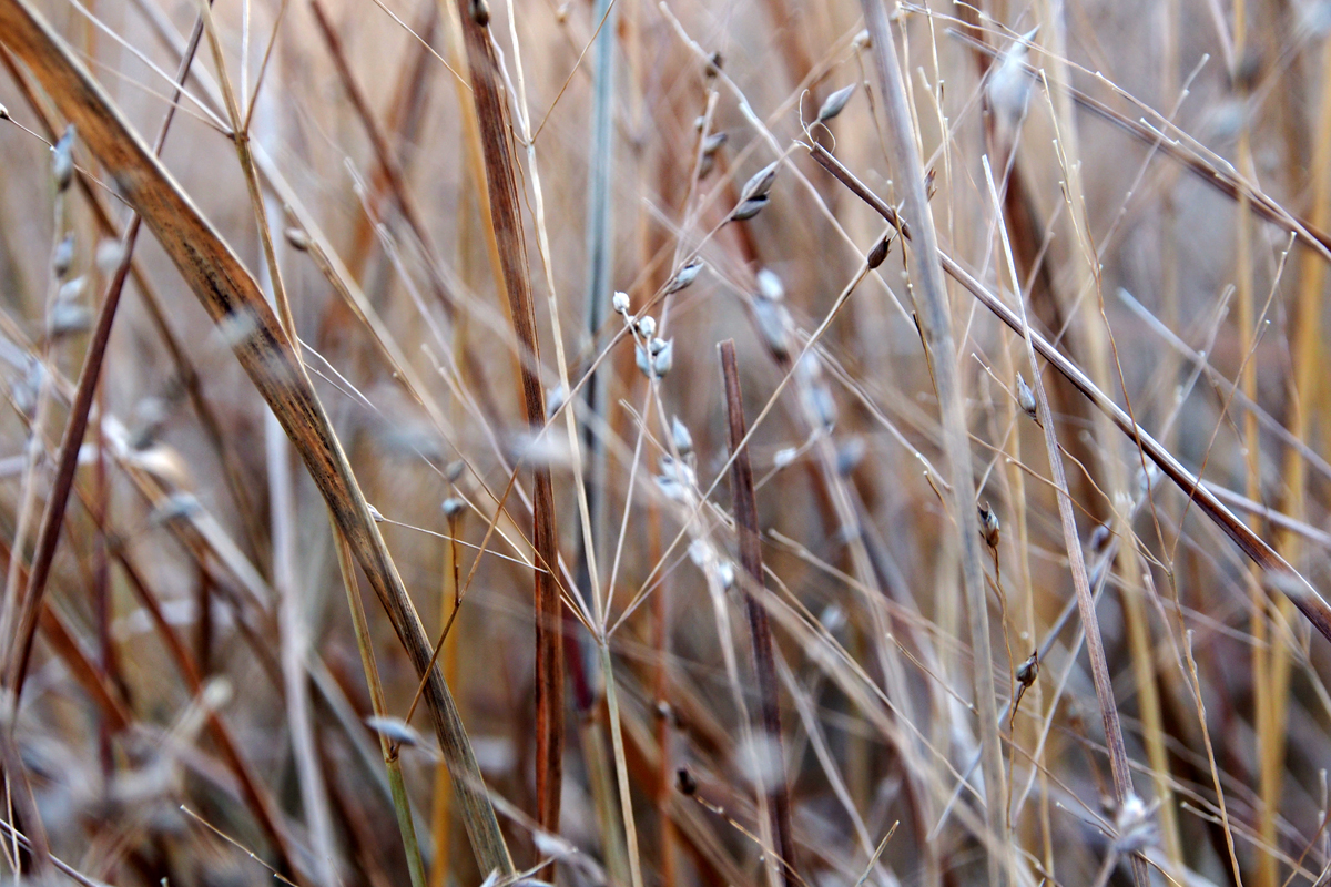 Die Farben des Winters