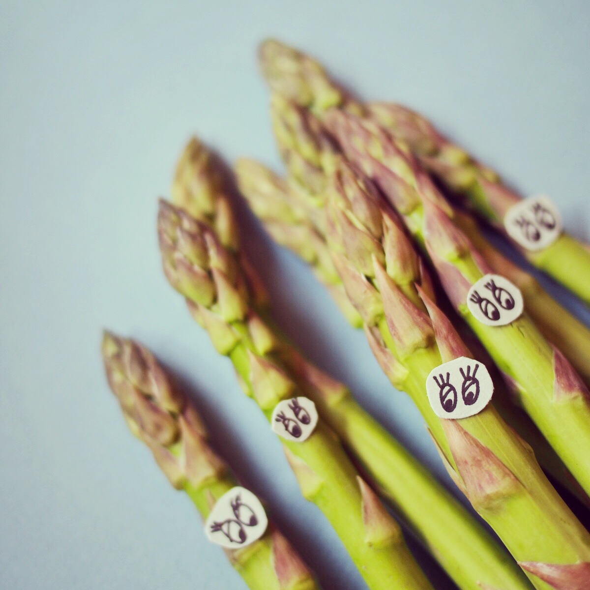 Kampf dem Gemüsefeind Nr. VI – Spargel vs. Tomaten