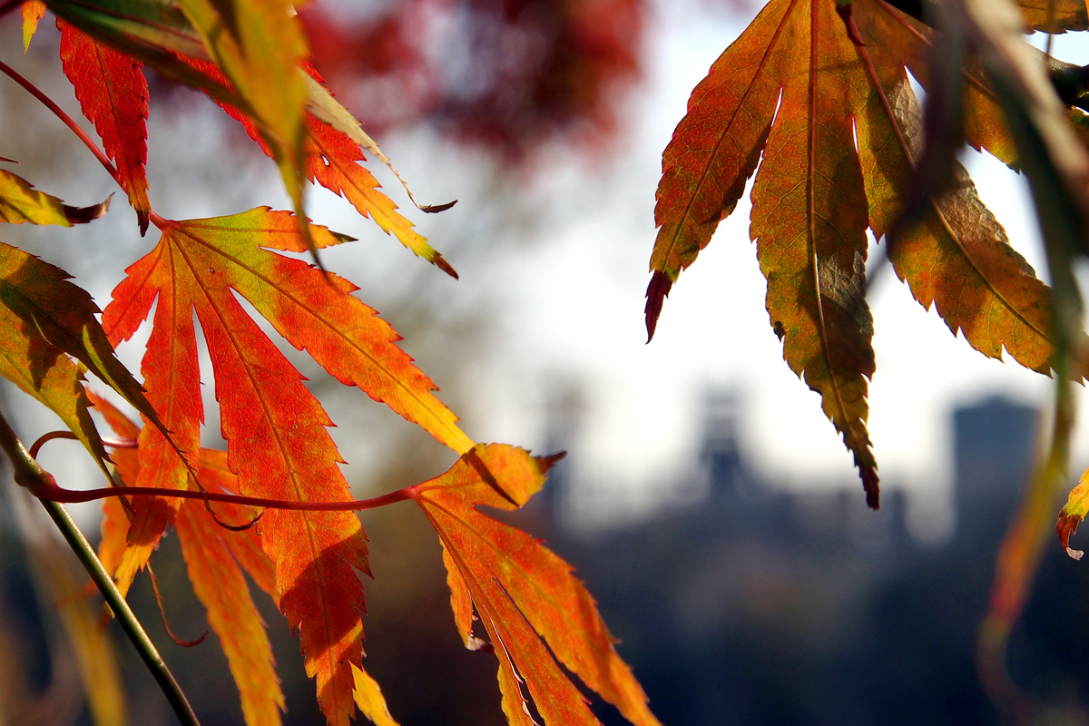 Tschüss Herbst, Hallo Winter!