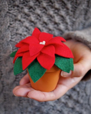 Immergrüne Weihnachtssterne aus Filz für alle und mit 1A ökologischem Fußabdruck für die Umwelt